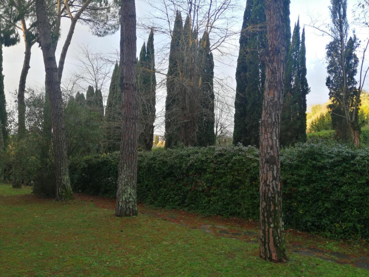 La Casa Di Duccio Con Parcheggio Gratuito Daire Floransa Dış mekan fotoğraf