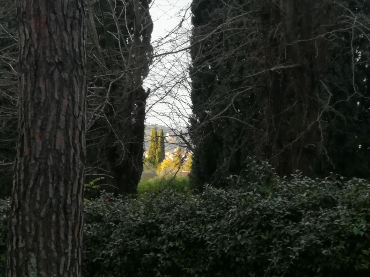 La Casa Di Duccio Con Parcheggio Gratuito Daire Floransa Dış mekan fotoğraf